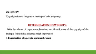 ZYGOSITY
Zygosity refers to the genetic makeup of twin pregnancy.
DETERMINATION OF ZYGOSITY:
With the advent of organ transplantation, the identification of the zygosity of the
multiple foetuses has assumed much importance
♦ Examination of placenta and membranes:
 
