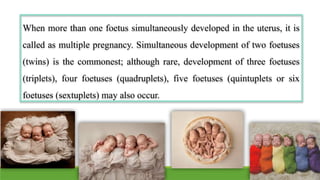 When more than one foetus simultaneously developed in the uterus, it is
called as multiple pregnancy. Simultaneous development of two foetuses
(twins) is the commonest; although rare, development of three foetuses
(triplets), four foetuses (quadruplets), five foetuses (quintuplets or six
foetuses (sextuplets) may also occur.
 