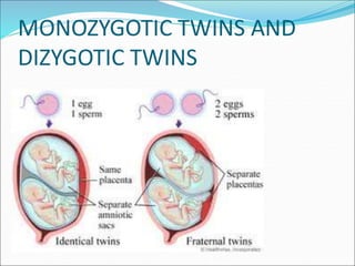 Multiple pregnancy by tanoj patidar