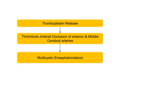 Tromboplastin Release
Thrombotic Arterial Occlusion of anterior & Middle
Cerebral arteries
Multicystic Ensephalomalacia
 