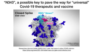 Researchers discover hidden SARS-CoV-2 'gate' that opens to allow COVID infection

https://phys.org/news/2021-08-hidden-sars-cov-gate-covid-infection.html
“N343”, a possible key to pave the way for “universal”
Covid-19 therapeutic and vaccine
 