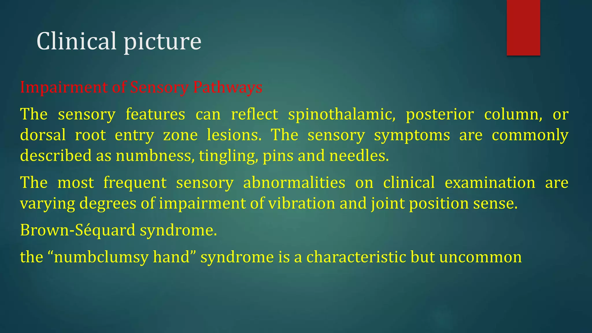 Clinical picture
Impairment of Sensory Pathways
The sensory features can reflect spinothalamic, posterior column, or
dorsal root entry zone lesions. The sensory symptoms are commonly
described as numbness, tingling, pins and needles.
The most frequent sensory abnormalities on clinical examination are
varying degrees of impairment of vibration and joint position sense.
Brown-Séquard syndrome.
the “numbclumsy hand” syndrome is a characteristic but uncommon
 