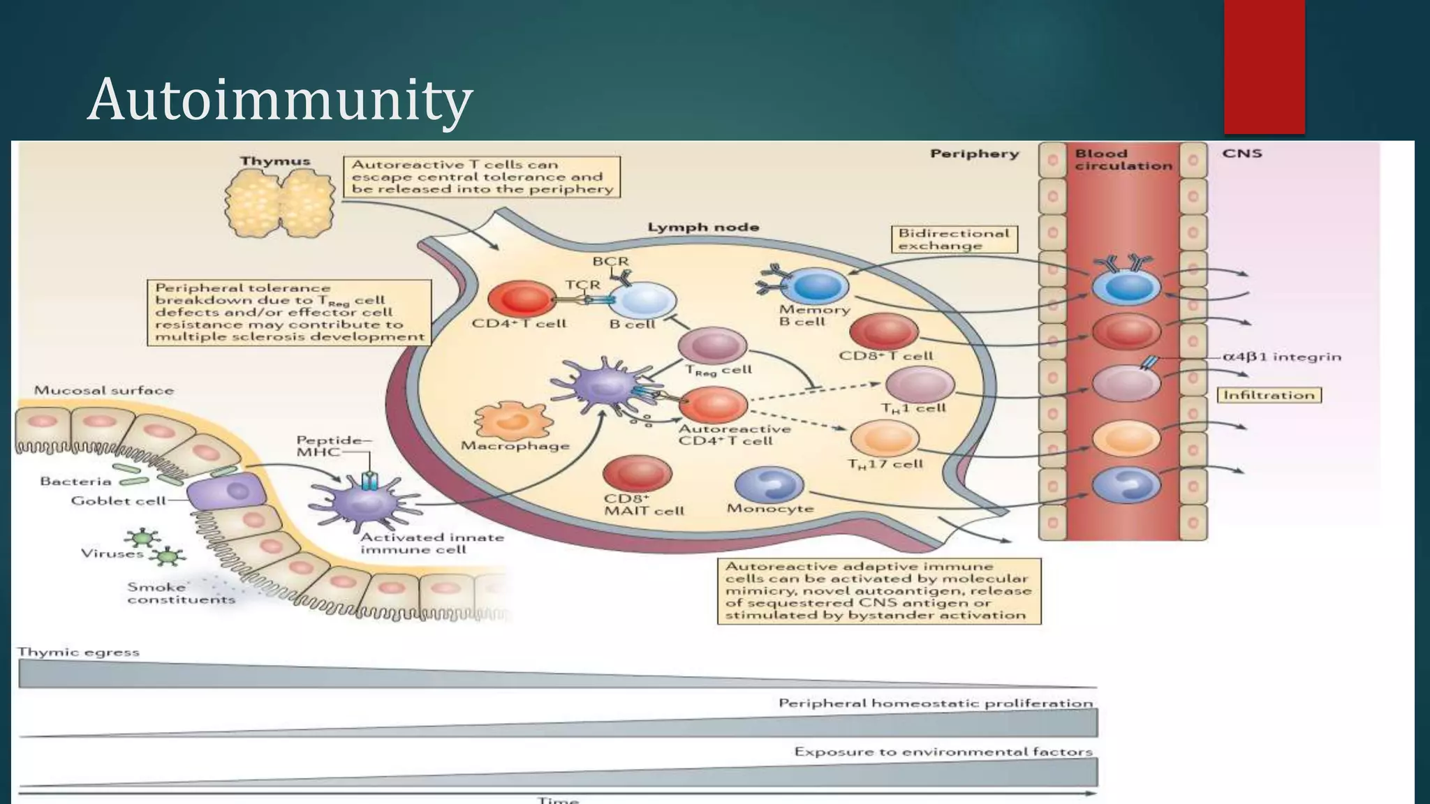 Autoimmunity
 