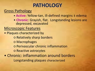 PATHOLOGY
Gross Pathology
• Active: Yellow-tan, ill-defined margins ± edema
• Chronic: Grayish, flat. Longstanding lesions are
depressed, excavated
Microscopic Features
• Plaques characterized by
○ Relatively sharp borders
○ Macrophages
○ Perivascular chronic inflammation
○ Reactive astrocytes
• Chronic: inflammation around borders
Longstanding plaques characterized
 
