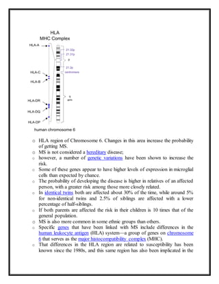 o HLA region of Chromosome 6. Changes in this area increase the probability
of getting MS.
o MS is not considered a hereditary disease;
o however, a number of genetic variations have been shown to increase the
risk.
o Some of these genes appear to have higher levels of expression in microglial
cells than expected by chance.
o The probability of developing the disease is higher in relatives of an affected
person, with a greater risk among those more closely related.
o In identical twins both are affected about 30% of the time, while around 5%
for non-identical twins and 2.5% of siblings are affected with a lower
percentage of half-siblings.
o If both parents are affected the risk in their children is 10 times that of the
general population.
o MS is also more common in some ethnic groups than others.
o Specific genes that have been linked with MS include differences in the
human leukocyte antigen (HLA) system—a group of genes on chromosome
6 that serves as the major histocompatibility complex (MHC).
o That differences in the HLA region are related to susceptibility has been
known since the 1980s, and this same region has also been implicated in the
 
