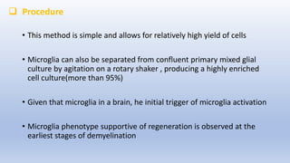  Procedure
• This method is simple and allows for relatively high yield of cells
• Microglia can also be separated from confluent primary mixed glial
culture by agitation on a rotary shaker , producing a highly enriched
cell culture(more than 95%)
• Given that microglia in a brain, he initial trigger of microglia activation
• Microglia phenotype supportive of regeneration is observed at the
earliest stages of demyelination
 