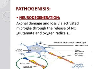  NEURODEGENERATION:
Axonal damage and loss via activated
microglia through the release of NO
,glutamate and oxygen radicals..
 