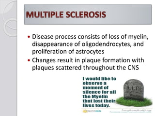  Disease process consists of loss of myelin,
disappearance of oligodendrocytes, and
proliferation of astrocytes
 Changes result in plaque formation with
plaques scattered throughout the CNS
 