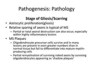 Pathogenesis: Pathology
Stage of Gliosis/Scarring
• Astrocytic proliferation(gliosis)
• Relative sparing of axons is typical of MS
– Partial or total axonal destruction can also occur, especially
within highly inflammatory lesions
• MS Plaques
– Oligodendrocyte precursor cells survive and in many
lesions are present in even greater numbers than in
normal tissue but fail to differentiate into mature myelin-
producing cells
– Partial remyelination of surviving naked axons by surviving
oligodendrocytes appearing as ‘shadow plaques’
 