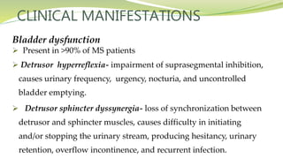 CLINICAL MANIFESTATIONS
Bladder dysfunction
 Present in >90% of MS patients
 Detrusor hyperreflexia- impairment of suprasegmental inhibition,
causes urinary frequency, urgency, nocturia, and uncontrolled
bladder emptying.
 Detrusor sphincter dyssynergia- loss of synchronization between
detrusor and sphincter muscles, causes difficulty in initiating
and/or stopping the urinary stream, producing hesitancy, urinary
retention, overflow incontinence, and recurrent infection.
 