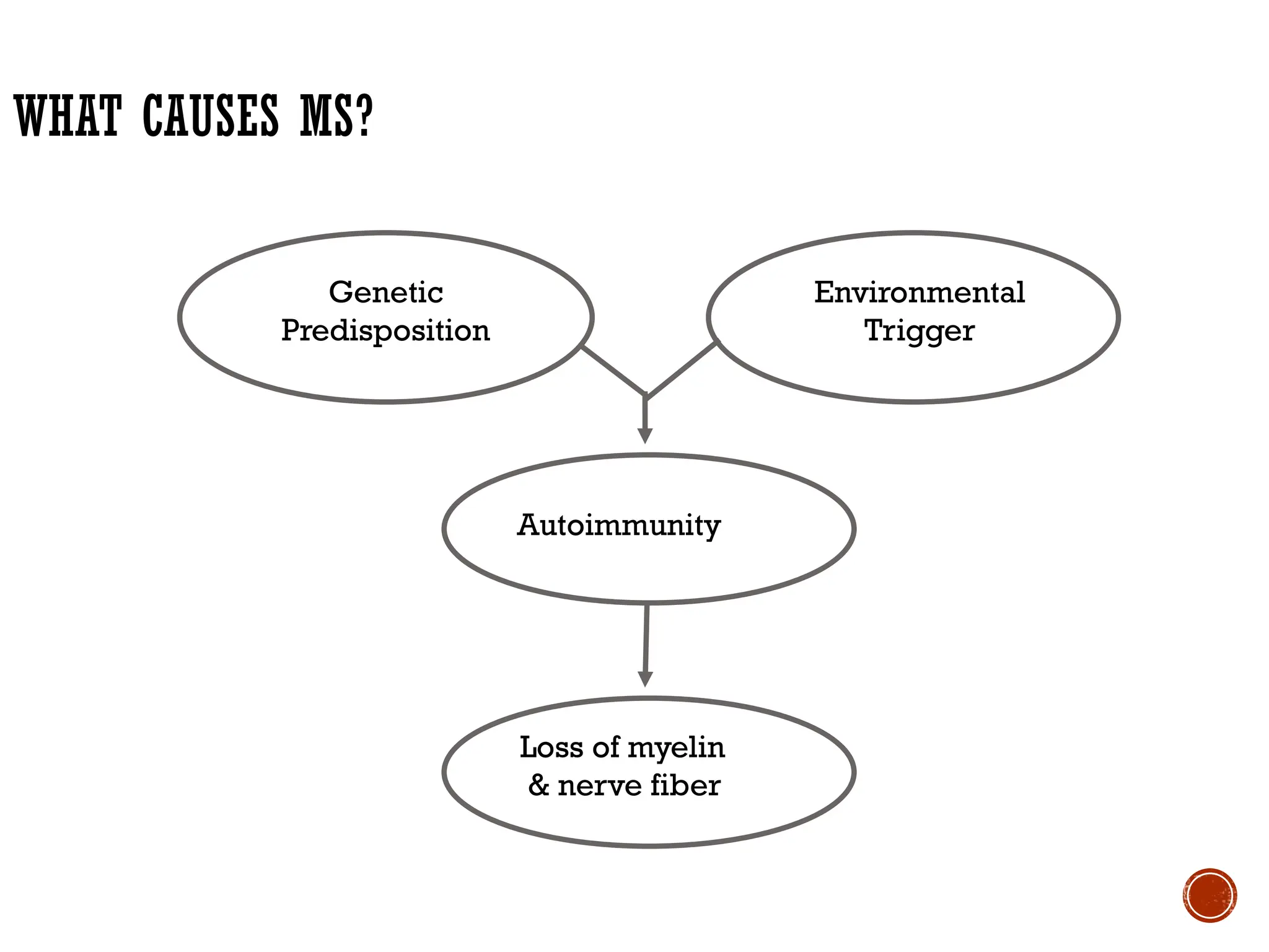 WHAT CAUSES MS?
Genetic
Predisposition
Environmental
Trigger
Autoimmunity
Loss of myelin
& nerve fiber
 