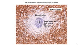 Prathamesh Shasane 4
 