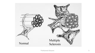 Prathamesh Shasane 5
 