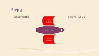 Step 3
• Crossing BBB BRAINTISSUE
 