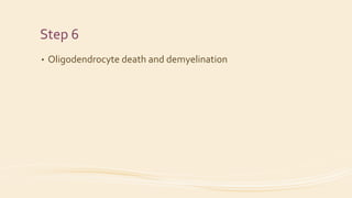 Step 6
• Oligodendrocyte death and demyelination
 