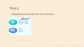 Step 5
• Oligodendrocyte death and demyelination
 