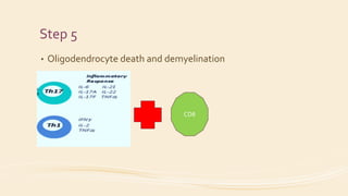 Step 5
• Oligodendrocyte death and demyelination
CD8
 