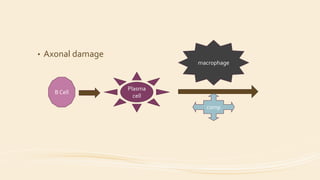• Axonal damage
B Cell
Plasma
cell
comp
macrophage
 