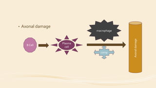 • Axonal damage
B Cell
Plasma
cell
comp
macrophage
Axonaldamage
 