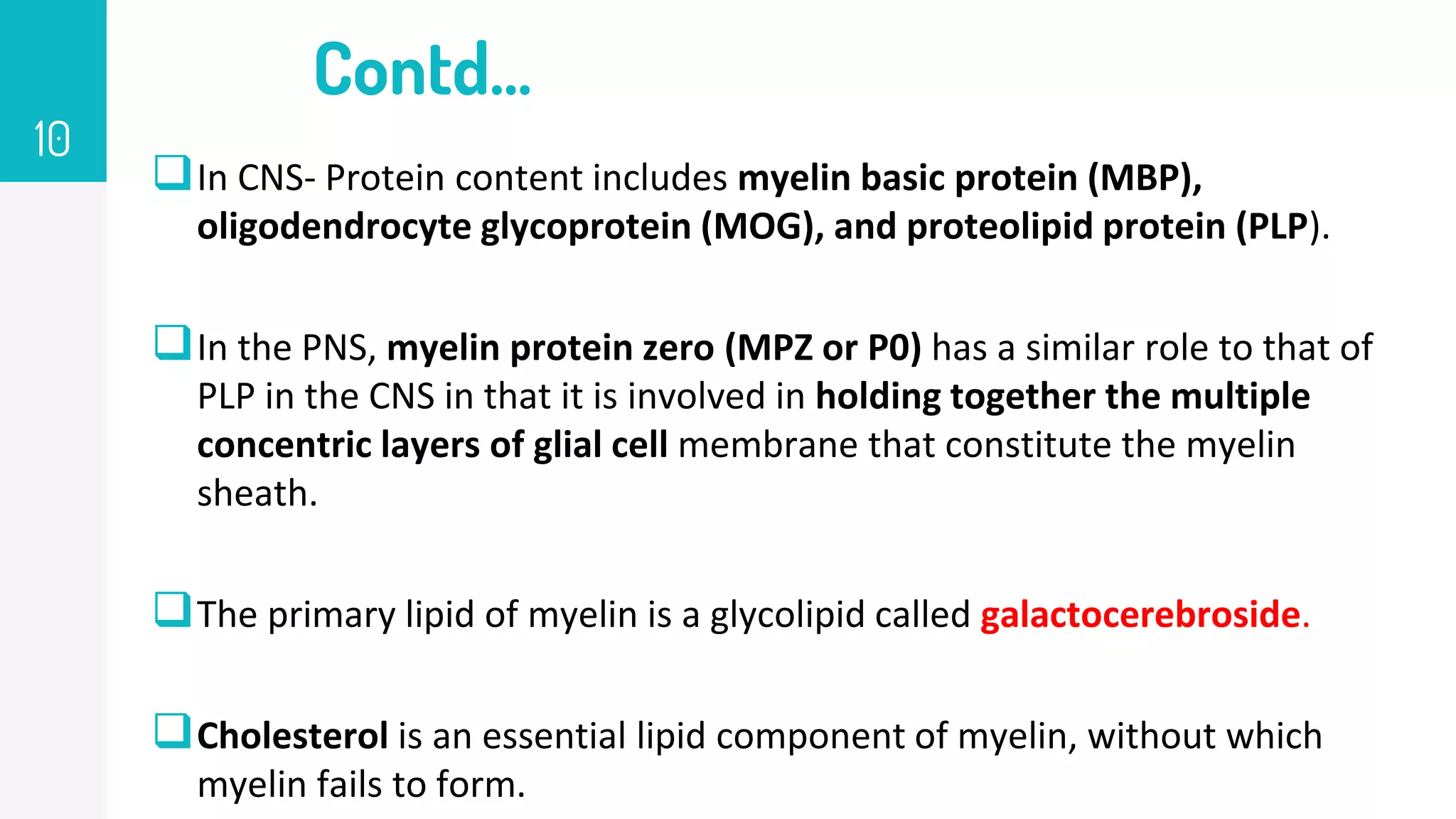 Contd…
In CNS- Protein content includes myelin basic protein (MBP),
oligodendrocyte glycoprotein (MOG), and proteolipid protein (PLP).
In the PNS, myelin protein zero (MPZ or P0) has a similar role to that of
PLP in the CNS in that it is involved in holding together the multiple
concentric layers of glial cell membrane that constitute the myelin
sheath.
The primary lipid of myelin is a glycolipid called galactocerebroside.
Cholesterol is an essential lipid component of myelin, without which
myelin fails to form.
10
 