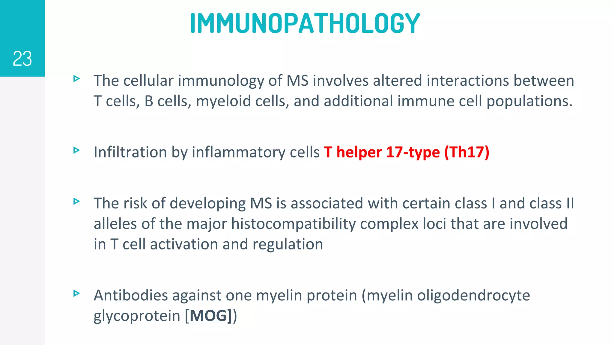 IMMUNOPATHOLOGY
▹ The cellular immunology of MS involves altered interactions between
T cells, B cells, myeloid cells, and additional immune cell populations.
▹ Infiltration by inflammatory cells T helper 17-type (Th17)
▹ The risk of developing MS is associated with certain class I and class II
alleles of the major histocompatibility complex loci that are involved
in T cell activation and regulation
▹ Antibodies against one myelin protein (myelin oligodendrocyte
glycoprotein [MOG])
23
 