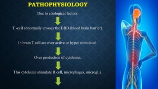PATHOPHYSIOLOGY
Due to etiological factors.
T -cell abnormally crosses the BBB (blood brain barrier).
In brain T cell are over active or hyper stimulated.
Over production of cytokinin.
This cytokinin stimulate B cell, microphages, microglia.
 
