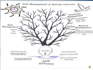 Next 5 ClassCommunication (Healthcare providers)Stress-managementExerciseDiet/CAMFatigue
