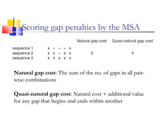 Scoring gap penalties by the MSA
Natural gap cost: The sum of the no. of gaps in all pair-
wise combinations
Quasi-natural gap cost: Natural cost + additional value
for any gap that begins and ends within another