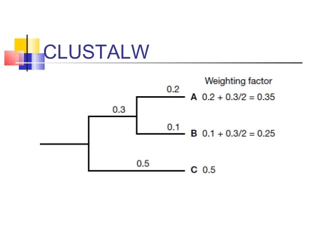 multiple sequence alignment multiple sequence alignment
