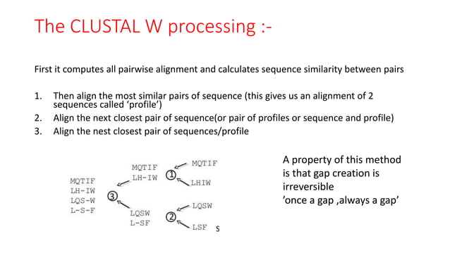 Multiple sequence alignment | PPTX | Databases | Computer Software and ...