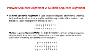 Multiple sequence alignment | PPTX | Databases | Computer Software and ...