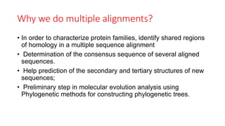 Multiple sequence alignment | PPTX | Databases | Computer Software and ...