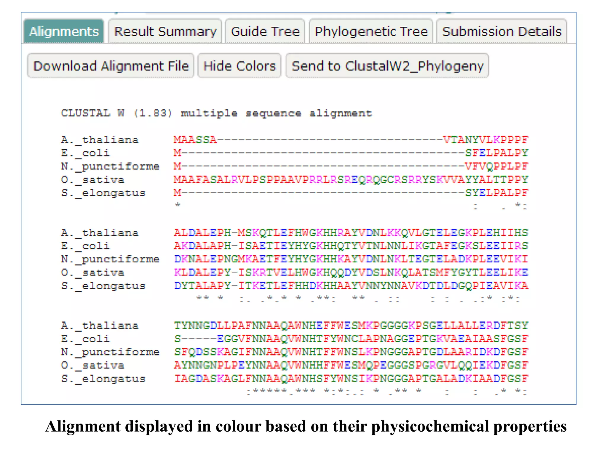 Multiple sequence alignment | PPTX | Genetics | Science
