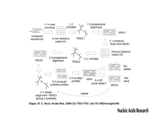 Edgar, R. C. Nucl. Acids Res. 2004 32:1792-1797; doi:10.1093/nar/gkh340
 