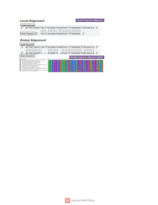 multiple sequence and pairwise alignment.pdf