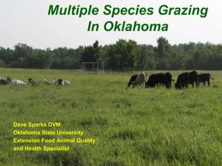Multiple Species Grazing
                  In Oklahoma




Dave Sparks DVM
Oklahoma State University
Extension Food Animal Quality
and Health Specialist
 