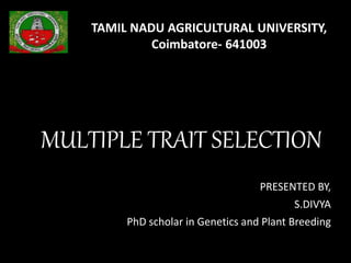MULTIPLE TRAIT SELECTION
PRESENTED BY,
S.DIVYA
PhD scholar in Genetics and Plant Breeding
TAMIL NADU AGRICULTURAL UNIVERSITY,
Coimbatore- 641003
 