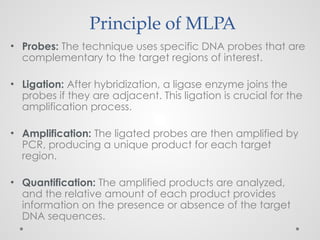 Multiplex%20Ligation-Dependent%20Probe%20Amplification.pptx