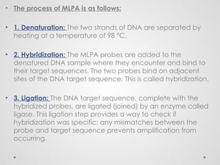 Multiplex%20Ligation-Dependent%20Probe%20Amplification.pptx