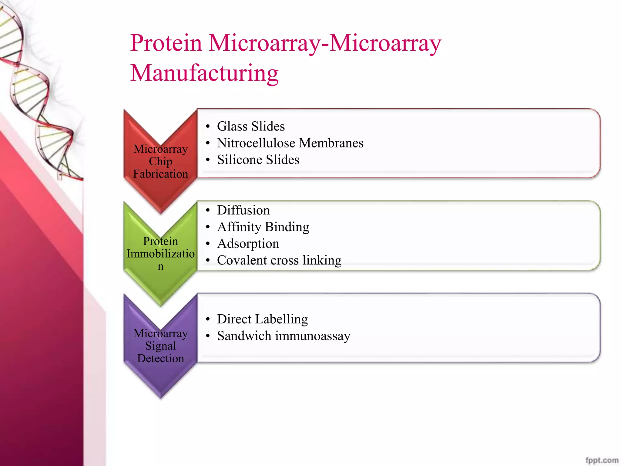 Protein Microarray-Microarray
Manufacturing
Microarray
Chip
Fabrication
• Glass Slides
• Nitrocellulose Membranes
• Silicone Slides
Protein
Immobilizatio
n
• Diffusion
• Affinity Binding
• Adsorption
• Covalent cross linking
Microarray
Signal
Detection
• Direct Labelling
• Sandwich immunoassay
 
