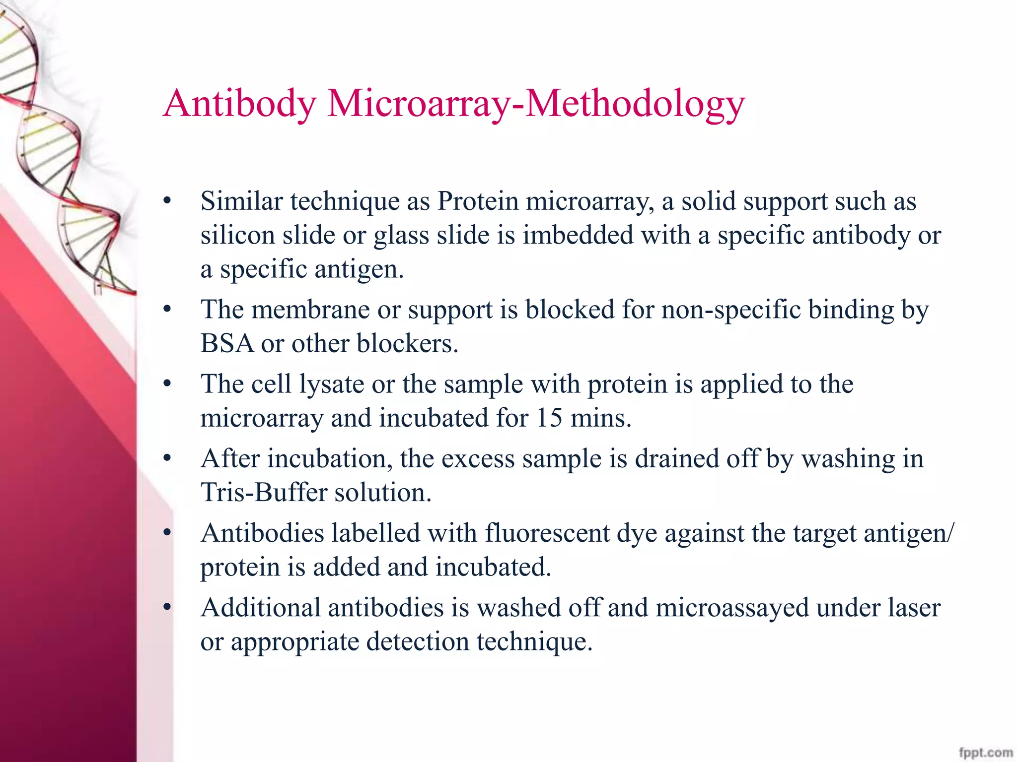 Antibody Microarray-Methodology
• Similar technique as Protein microarray, a solid support such as
silicon slide or glass slide is imbedded with a specific antibody or
a specific antigen.
• The membrane or support is blocked for non-specific binding by
BSA or other blockers.
• The cell lysate or the sample with protein is applied to the
microarray and incubated for 15 mins.
• After incubation, the excess sample is drained off by washing in
Tris-Buffer solution.
• Antibodies labelled with fluorescent dye against the target antigen/
protein is added and incubated.
• Additional antibodies is washed off and microassayed under laser
or appropriate detection technique.
 