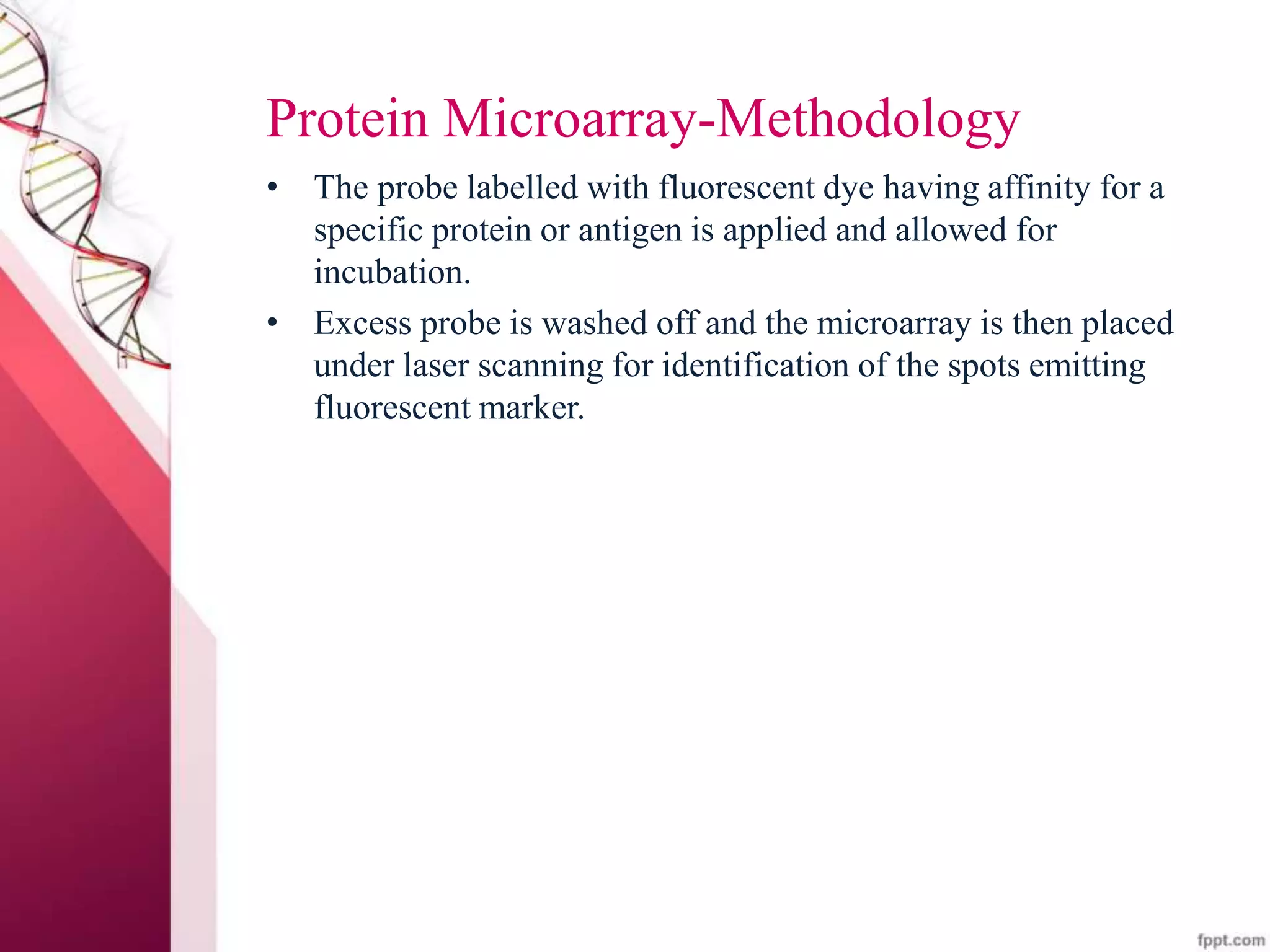 Protein Microarray-Methodology
• The probe labelled with fluorescent dye having affinity for a
specific protein or antigen is applied and allowed for
incubation.
• Excess probe is washed off and the microarray is then placed
under laser scanning for identification of the spots emitting
fluorescent marker.
 