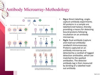 Multiplex analysis as tools in Biological science research | PPTX