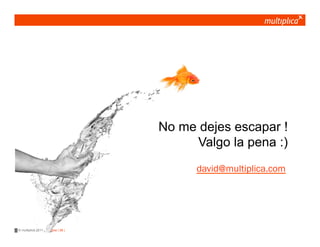 No me dejes escapar !
                                         Valgo la pena :)
                                          david@multiplica.com




© multiplica 2011 - Página | 38 |
 
