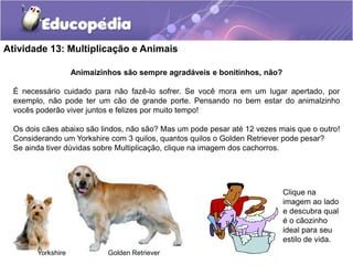 Atividade 13: Multiplicação e Animais
Animaizinhos são sempre agradáveis e bonitinhos, não?
É necessário cuidado para não fazê-lo sofrer. Se você mora em um lugar apertado, por
exemplo, não pode ter um cão de grande porte. Pensando no bem estar do animalzinho
vocês poderão viver juntos e felizes por muito tempo!
Os dois cães abaixo são lindos, não são? Mas um pode pesar até 12 vezes mais que o outro!
Considerando um Yorkshire com 3 quilos, quantos quilos o Golden Retriever pode pesar?
Se ainda tiver dúvidas sobre Multiplicação, clique na imagem dos cachorros.
Clique na
imagem ao lado
e descubra qual
é o cãozinho
ideal para seu
estilo de vida.
Yorkshire Golden Retriever
 