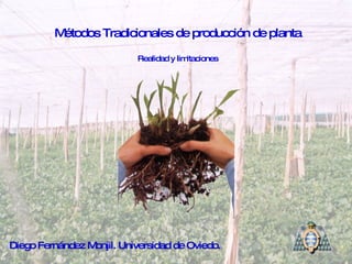 Métodos Tradicionales de producción de planta Realidad y limitaciones Diego Fernández Monjil. Universidad de Oviedo. 