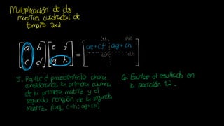 Álgebra Lineal - Multiplicación de Matrices (2x2)