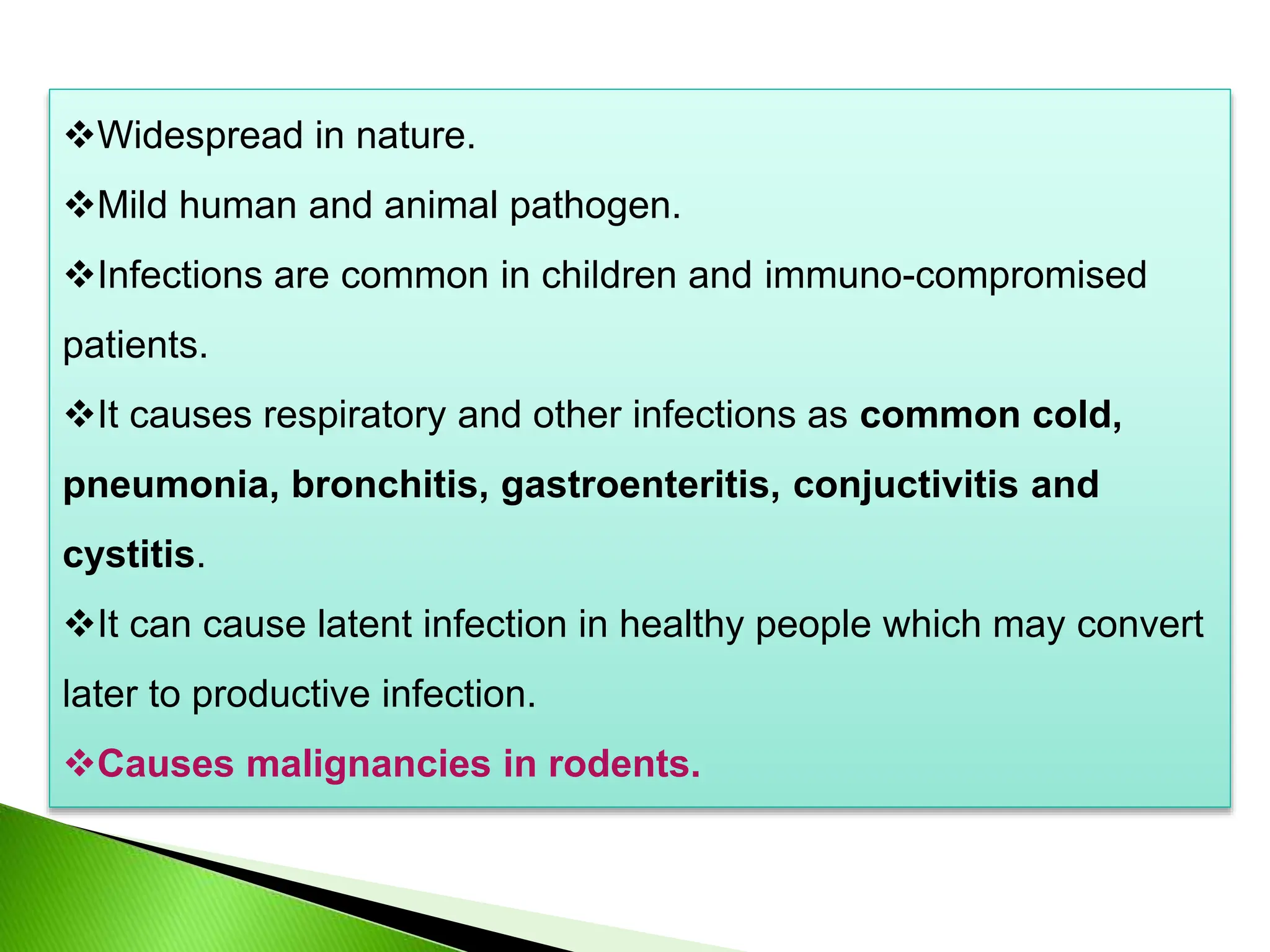 Stages involved in multiplication of Adenoviruses | PPT