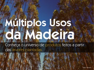 Foto: Veracel
Múltiplos Usos
da Madeira
Conheça o universo de produtos feitos a partir
das árvores plantadas.
 