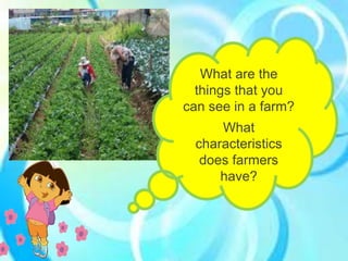 What are the
things that you
can see in a farm?
What
characteristics
does farmers
have?